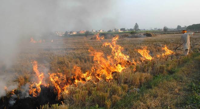 Stubble Burning Reduced by 54.2%, But Pollution Levels in Delhi and NCR Remain Dangerous